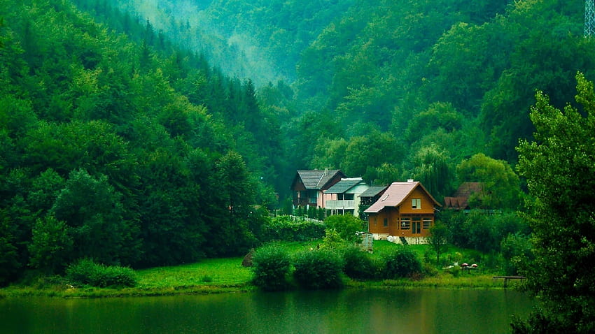 Maison, montagnes, forêt, lac, pinède, forêt verte Fond d'écran HD