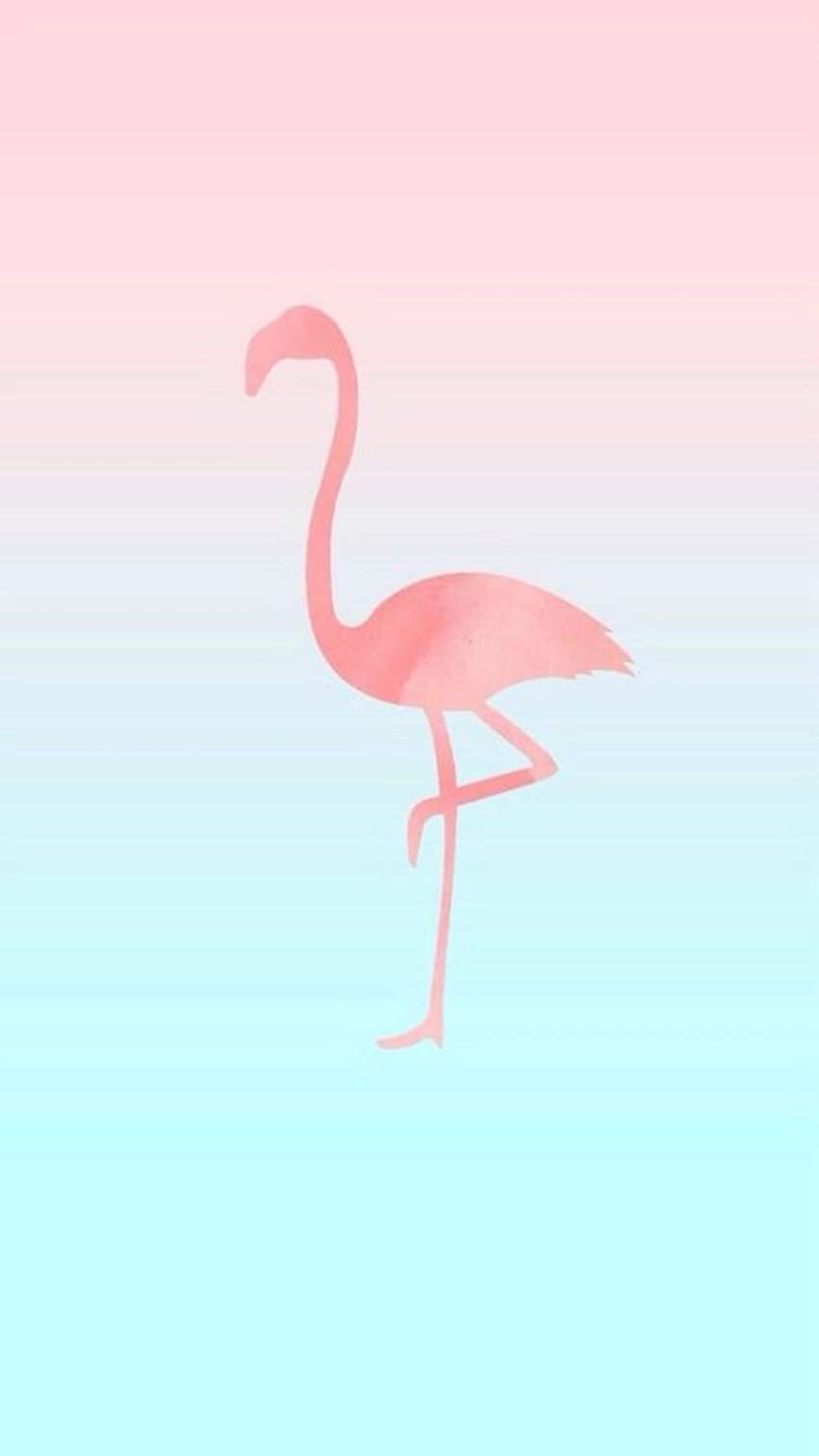 Albertsstuff PNG clipart, flamingo youtuber wallpaper ponsel HD