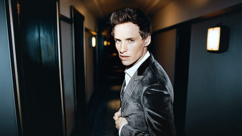 Eddie Redmayne, Rooney Mara Nominated For Razzies And Oscars On The HD wallpaper