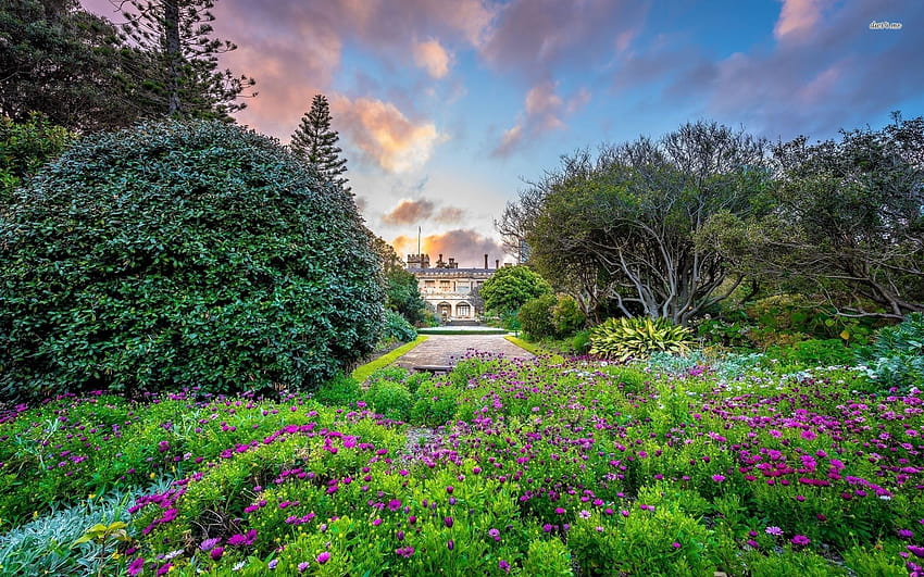 botanical garden ultra HD wallpaper botanical garden ultra HD wallpaper
