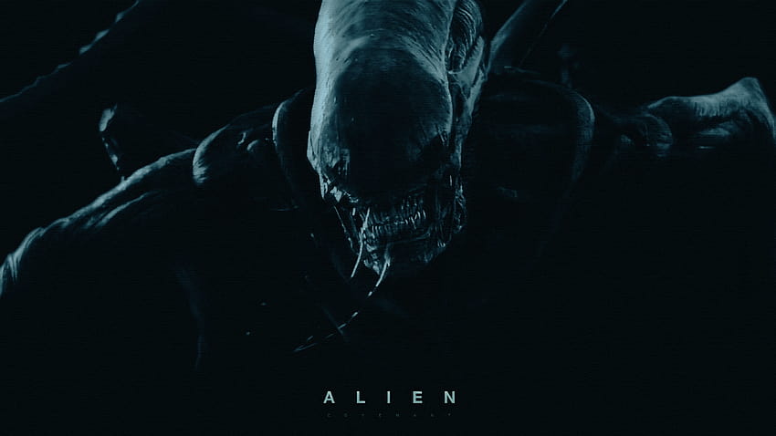 Top 20 Alien-Bund HD-Hintergrundbild
