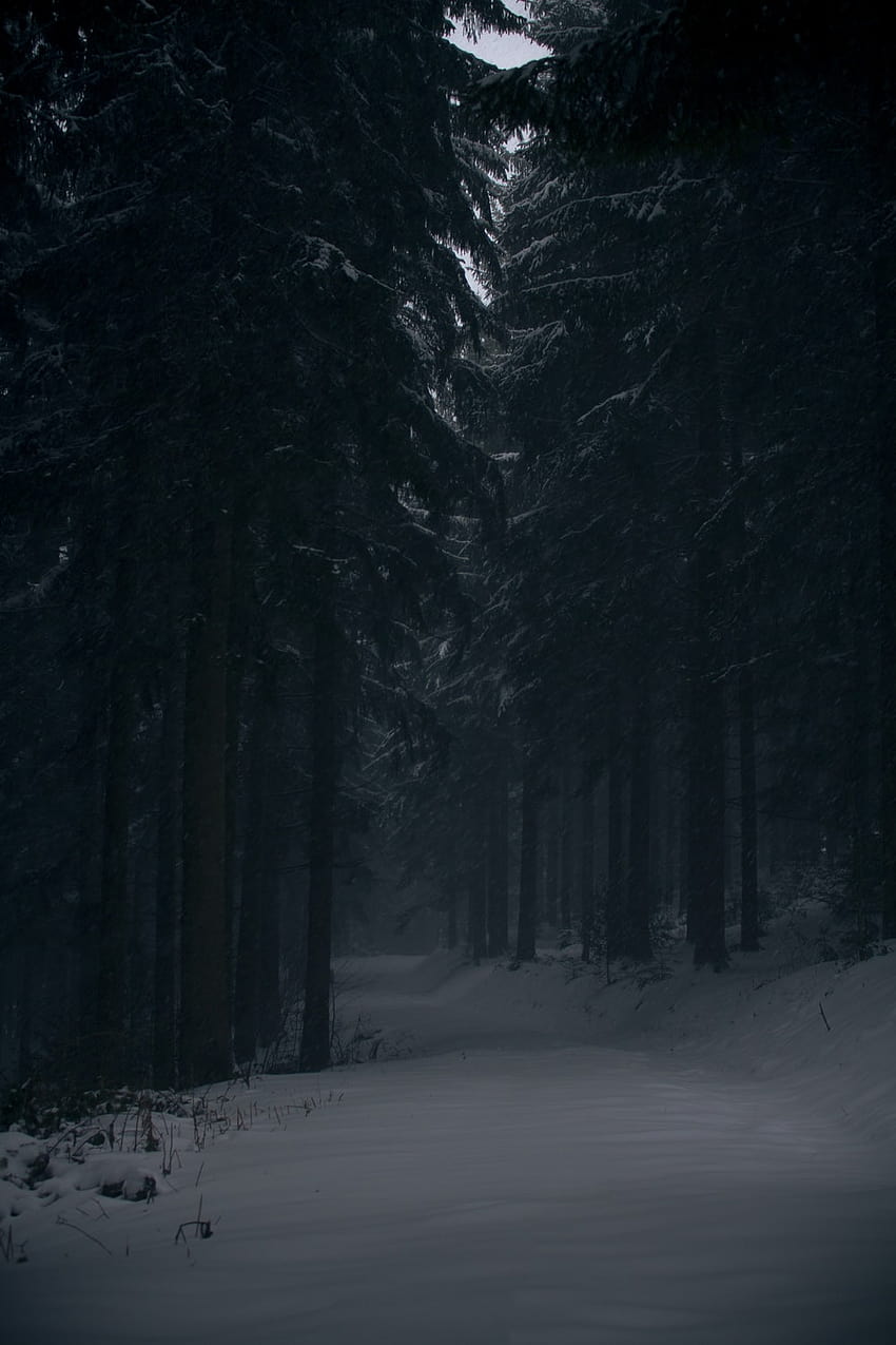 Person in braunem Mantel in einem dunklen Raum – Traurige Stimmung, minimaler dunkler Winter HD-Handy-Hintergrundbild