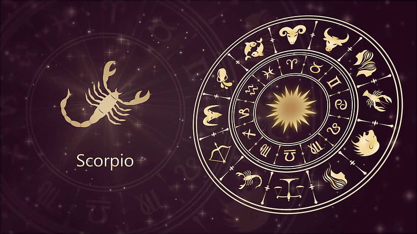 Escorpio, animales del signo zodiacal fondo de pantalla