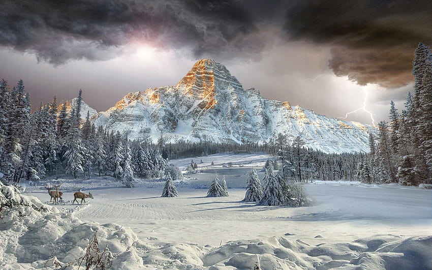 Mount Chephren Canadian Rockies Vally Winter Landscape, canadian winter HD wallpaper