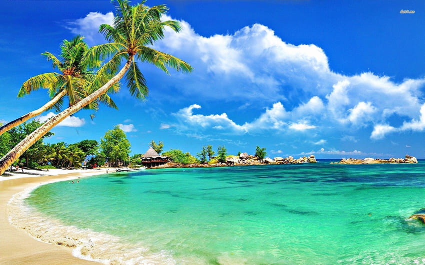 specchio d'acqua, paesaggio naturale, tropici, natura, cielo, spiaggia, caraibi, mare, riva, albero, spiaggia caraibica Sfondo HD
