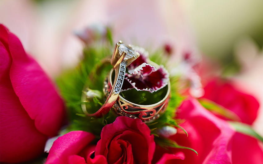 Valentine's Day Bling Buying Tips from Jeweler to the Stars Neil Lane ...