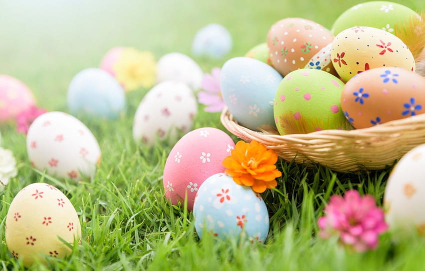 erba, fiori, uova, Pasqua, primavera, Pasqua, uova, pastello pasquale Sfondo HD