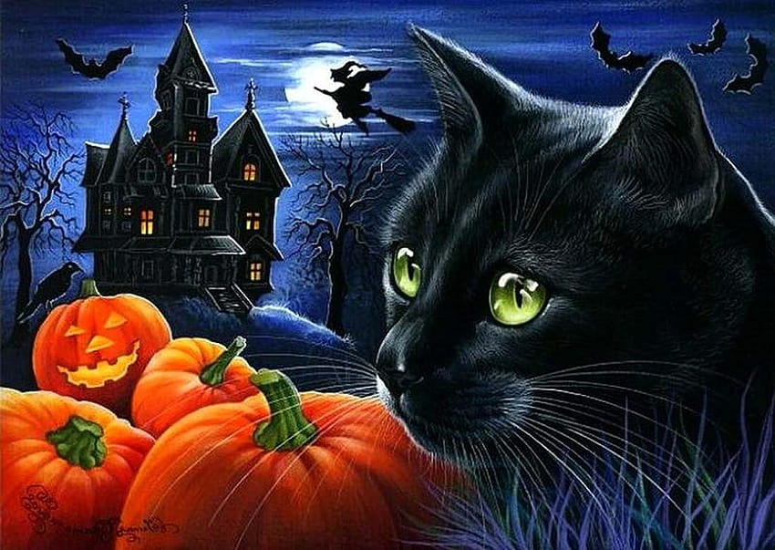 Happy Halloween Cat, halloween with kittens HD wallpaper | Pxfuel