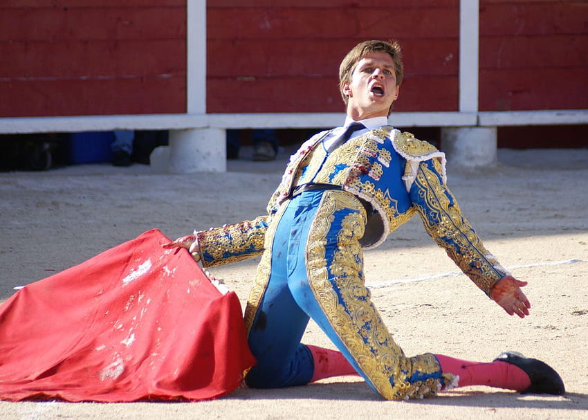 Bulging Bullfighters, spanish style bullfighting HD wallpaper