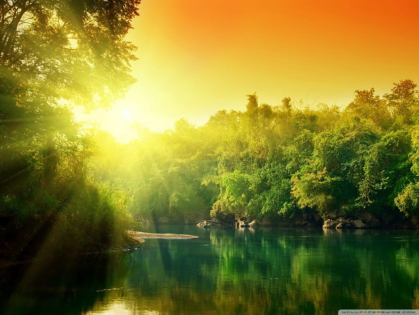 Lush Green Forest River At Sunrise Ultra Backgrounds for U TV : Multi Display, Dual Monitor : Tablet : Smartphone HD wallpaper