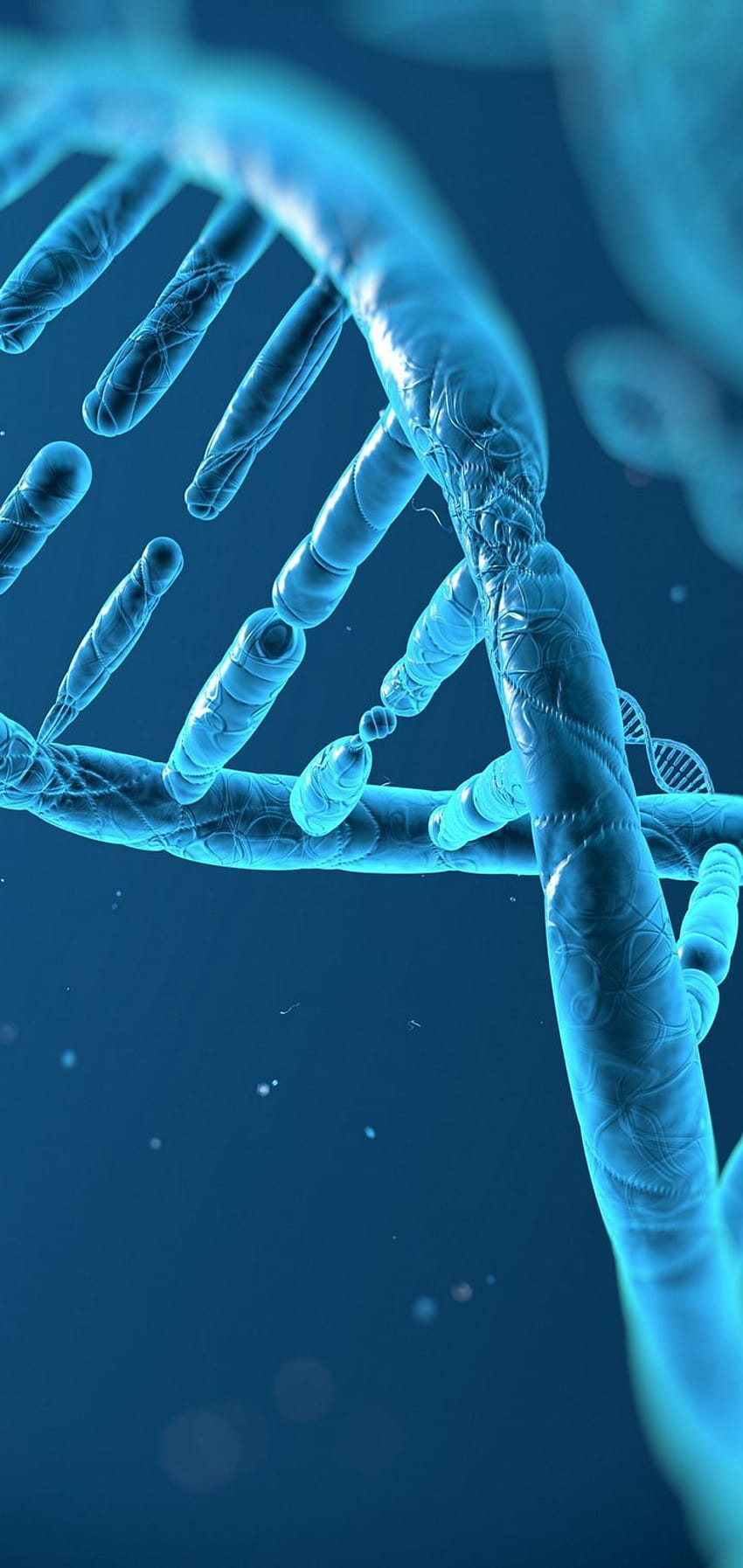 DNA 3D Estrutura Molécula, dna iphone Papel de parede de celular HD