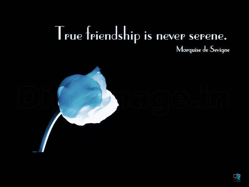 La verdadera amistad nunca es serena Mejores amigos y Frases para Orkut y facebook fondo de pantalla