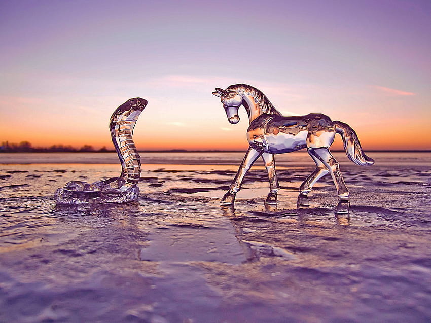 snow, horse, glass, ice, snake, figure, evening, winter, sunset with resolution 2500x1874. High Quality HD wallpaper
