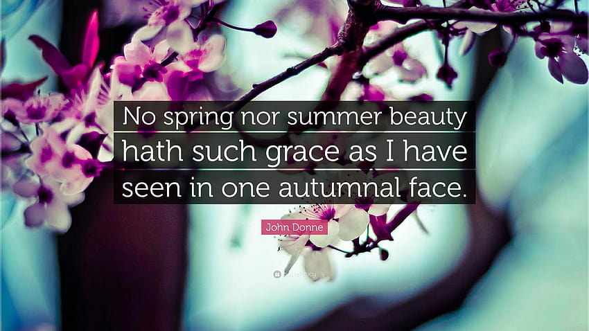 John Donne Quote: “No spring nor summer beauty hath such grace as I HD wallpaper