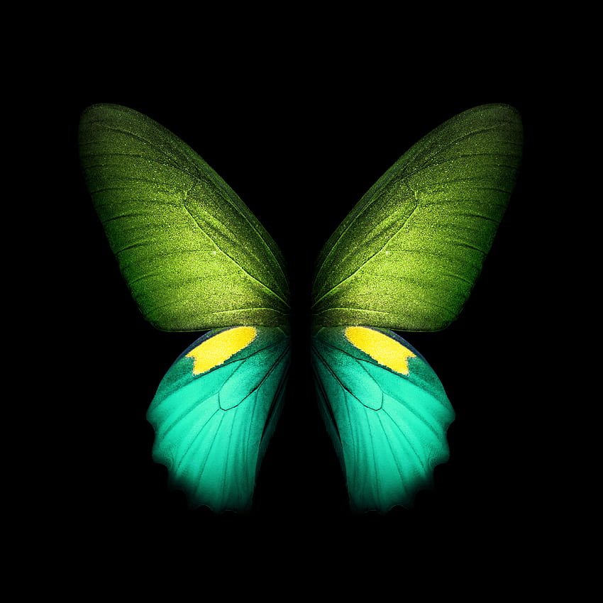 Samsung Galaxy Fold live and static available for, green amoled HD phone wallpaper