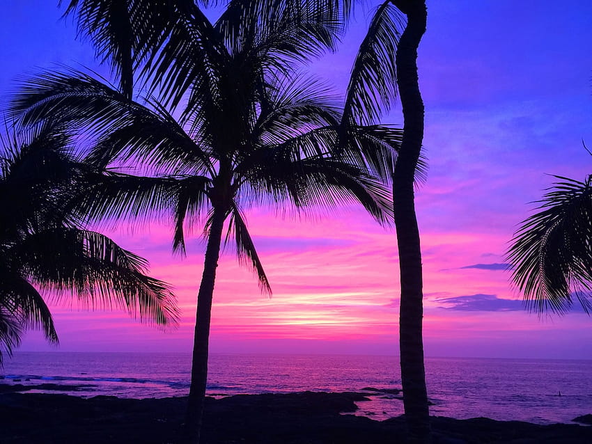 Puako oceanfront with sandy beach!, hawi sunset HD wallpaper | Pxfuel