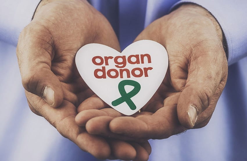 14, organ donation HD wallpaper