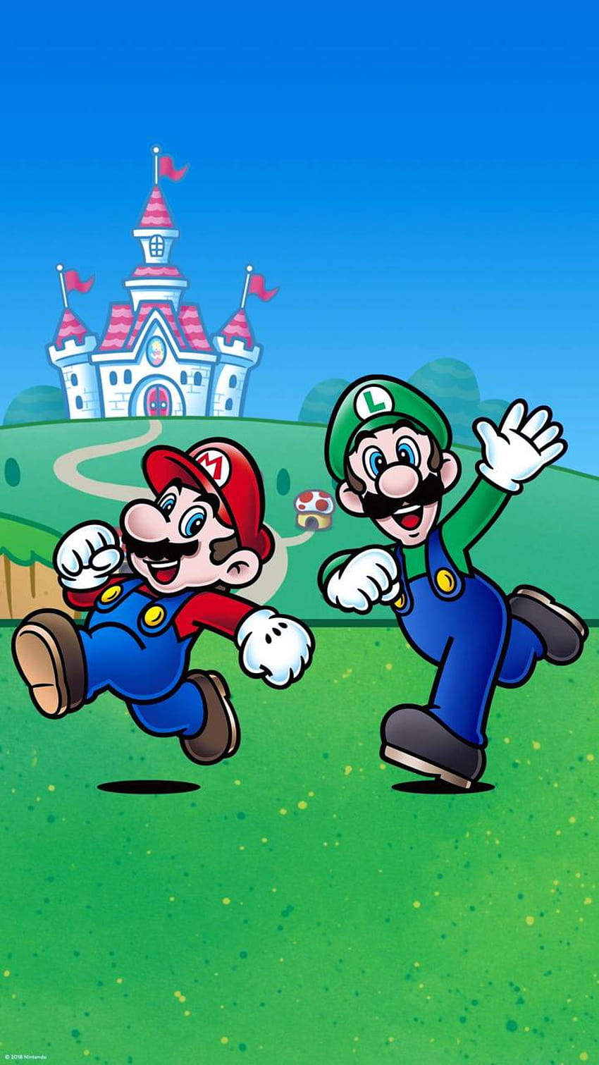 Luigi e Mario iPhone, il dream team di mario e luigi Sfondo del telefono HD