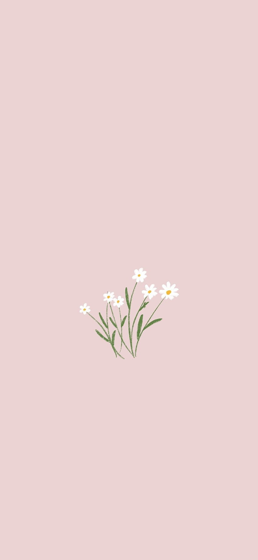 Minimalist Flower Phone, spring flower minimalist HD phone wallpaper