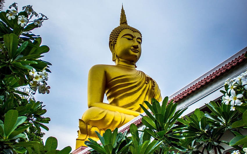 1280x800 budda, buddyzm, rzeźba, statua, wiosenna świątynia buddy Tapeta HD