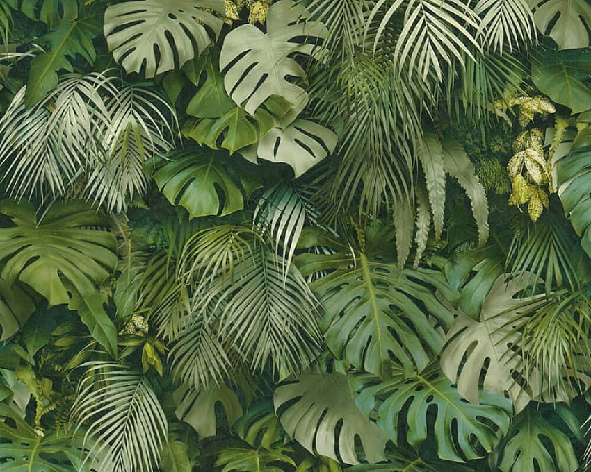 A.S. Création «Jungle, Green» 372802, jungles HD wallpaper