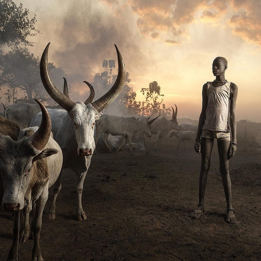 marcogrobJovem homem da tribo nômade Mundari representado próximo, sul do sudão Papel de parede de celular HD