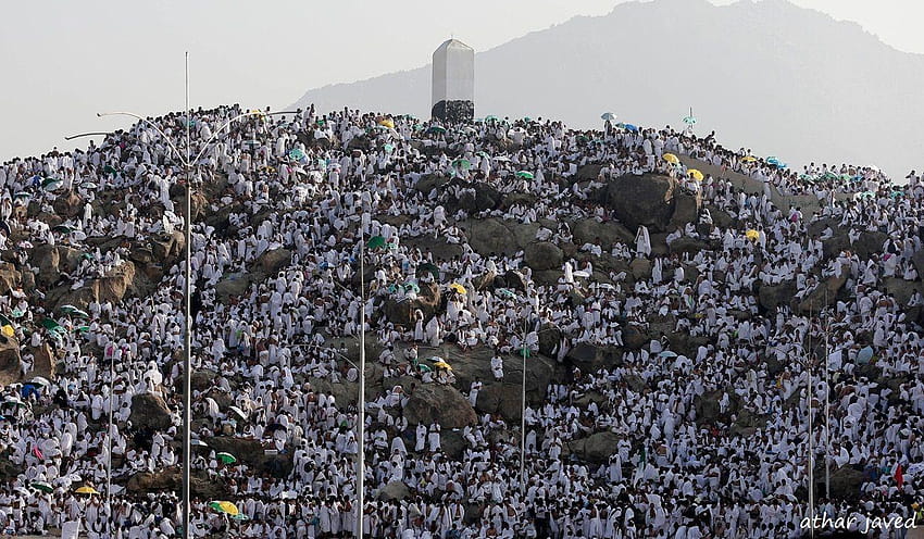 Muslim pilgrims pray on a rocky hill called the Mount Mercy, arafat day HD wallpaper