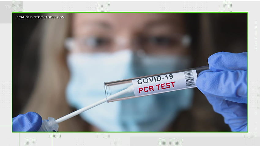 WERYFIKUJ: Nie, test PCR nie został przerwany z powodu niedokładności Tapeta HD