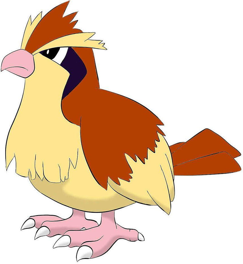 Anime Pokemon Pidgey (Pokémon) Papel de Parede