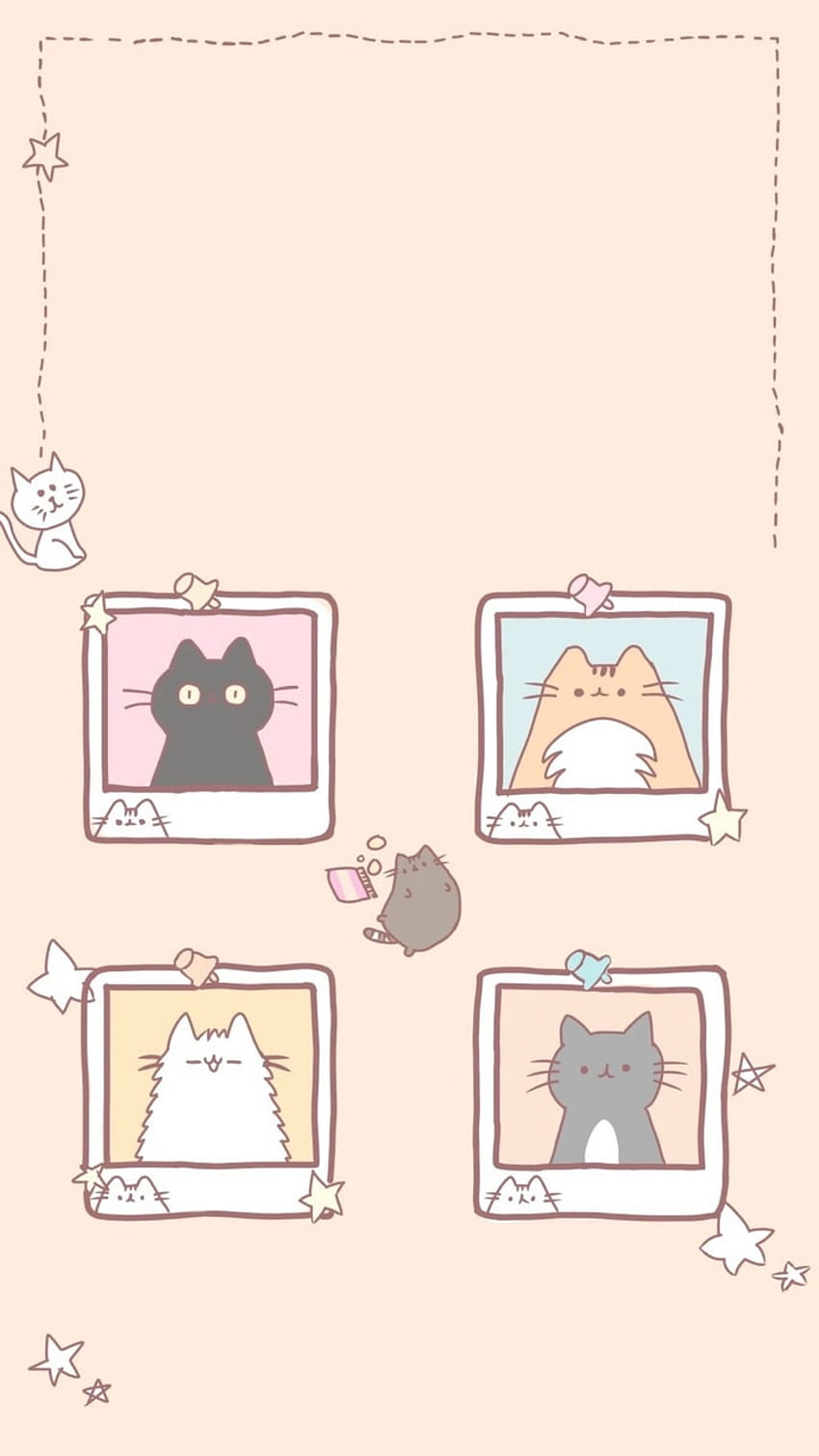 Kawaii Cats discovered by ₊˚✧, cute kawaii cat HD phone wallpaper