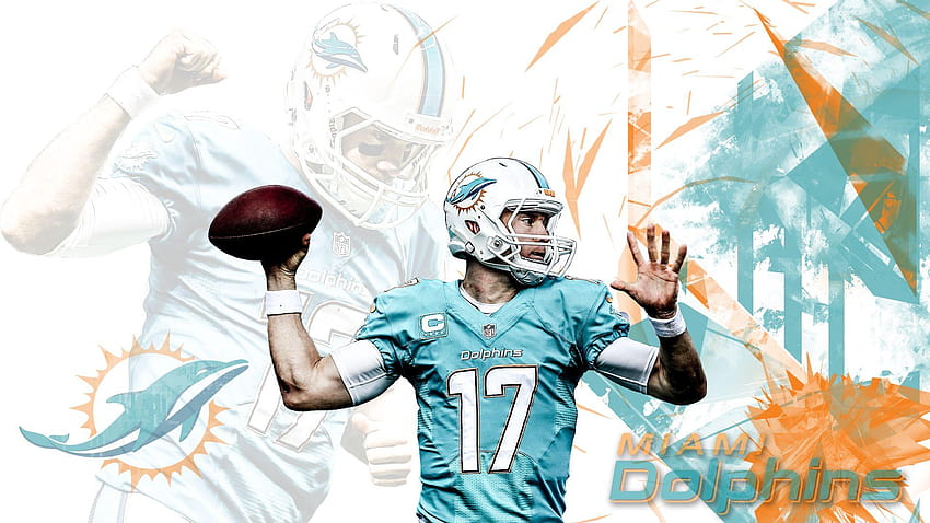 Miami dolphins HD wallpaper