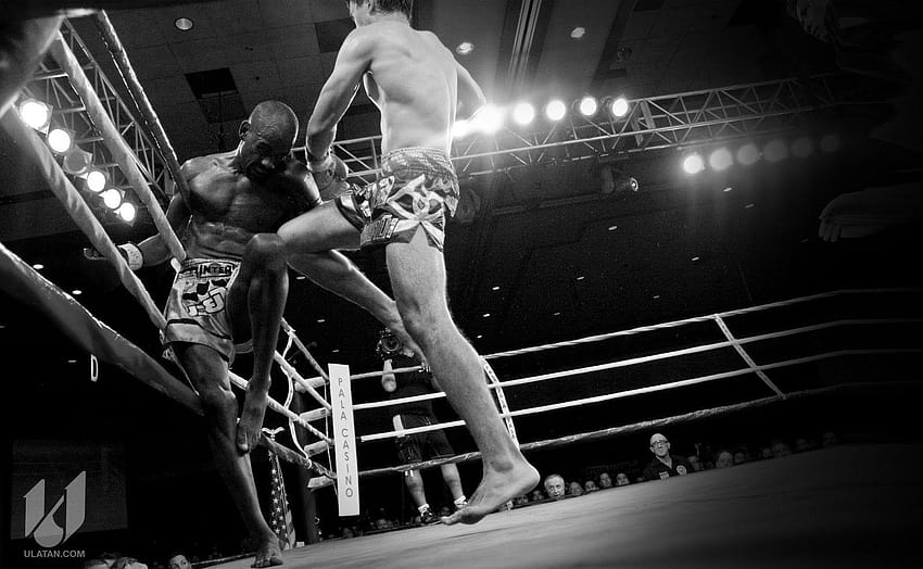 Muay Thai, guantes de boxeo fondo de pantalla