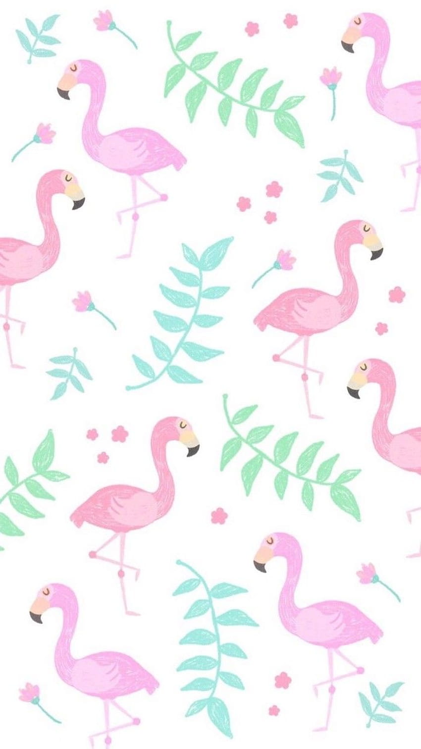 pink, cute flamingo HD phone wallpaper