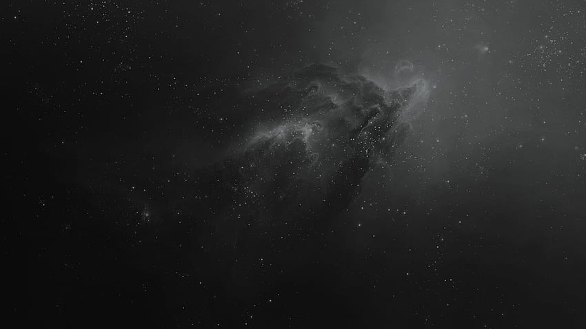 Dark Space on Dog, black universe HD wallpaper | Pxfuel