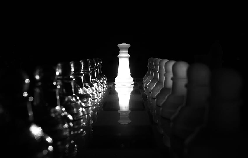 chess, figure, Queen's Gambit , section разное HD wallpaper