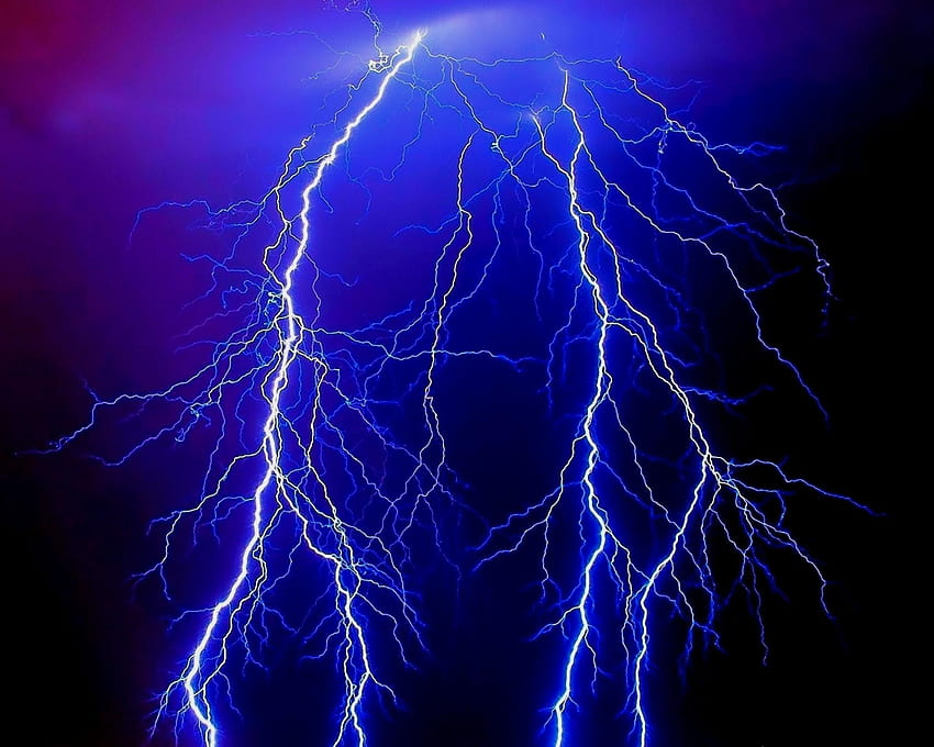 Thunder on Dog, tempête esthétique violette Fond d'écran HD