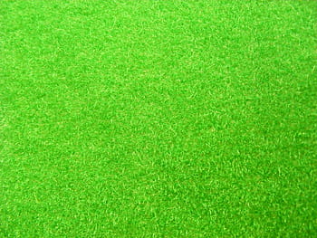 Green grass background HD wallpapers | Pxfuel