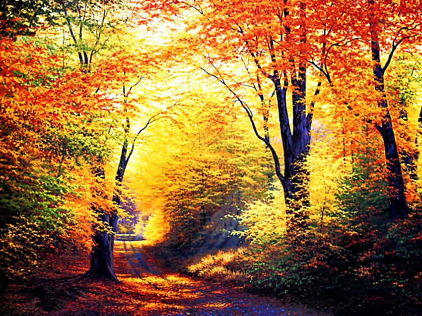 Download Enjoy the beauty of fall season on your iPad Wallpaper  Wallpapers com