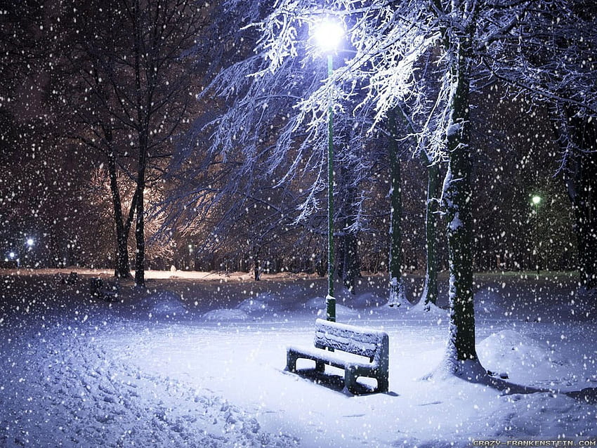 4 New England Winter Scenes, winter shine HD wallpaper