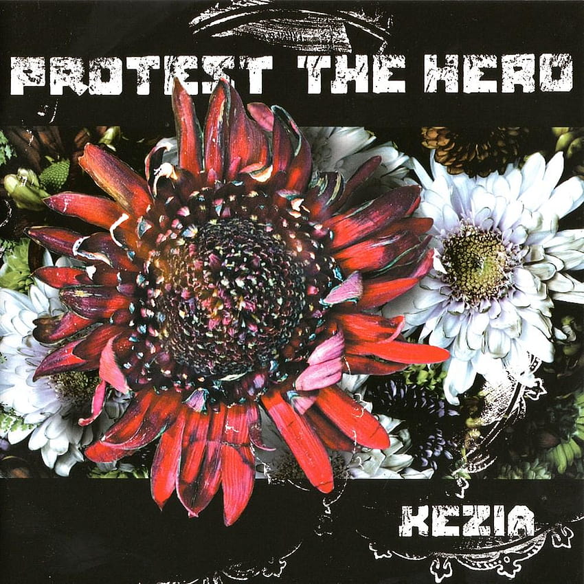 Protest the Hero HD phone wallpaper