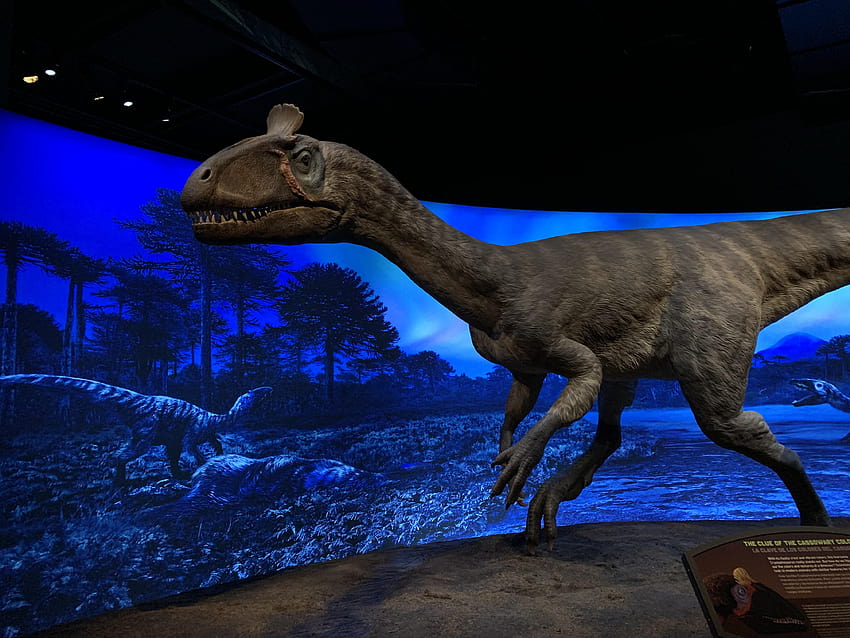 Cryolophosaurus, le deuxième théropode le plus cool. : r/Dinosaures Fond d'écran HD