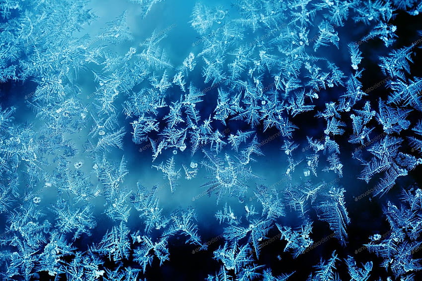 氷の花と冷凍ウィンドウ マクロ ビュー。 フロスト テクスチャ パターン。 Envato Elements の Besjunior 作、フローズン アイス フラワー ウィンドウ ガラス 高画質の壁紙