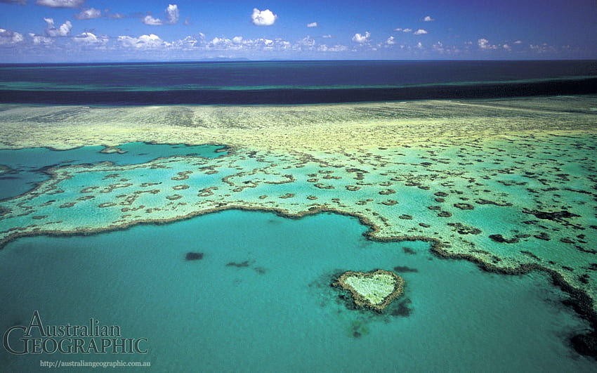 Heart Reef, Grande Barreira de Coral, QLD, ilha barreira papel de parede HD