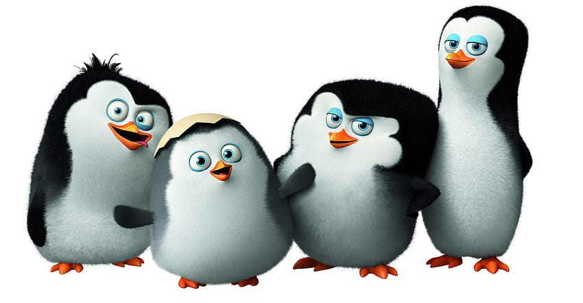 Pingwiny z Madagaskaru, słodki pingwin, kreskówka, Madagaskar Tapeta HD