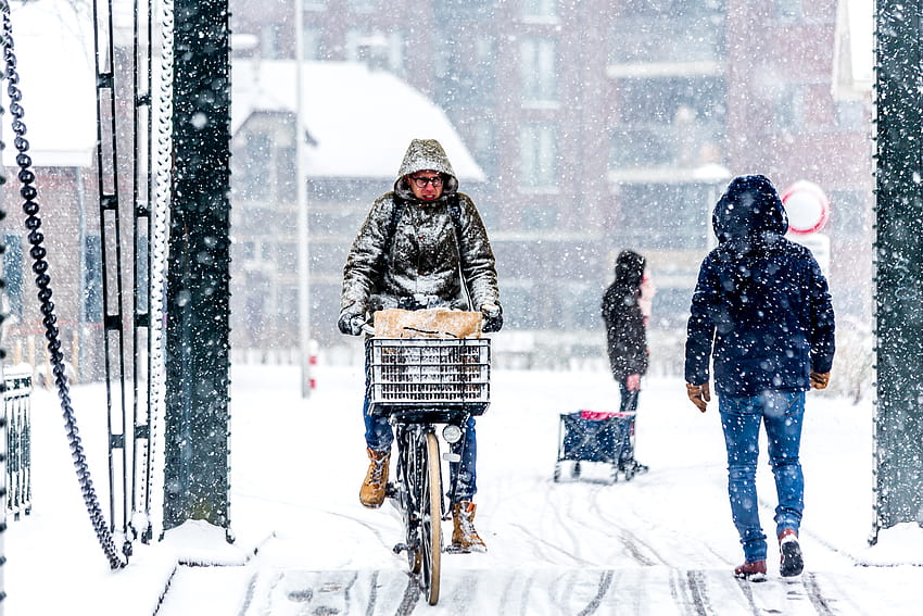 : bicicleta, nieve, vehículo, hielo, Países Bajos, ciclismo, gusto, holandés, Utrecht, bicicleta, tormenta de nieve, Nederland, recreación, equipo deportivo, tormenta de invierno, Lombok, Original 2500x1667, Bicicleta de invierno fondo de pantalla