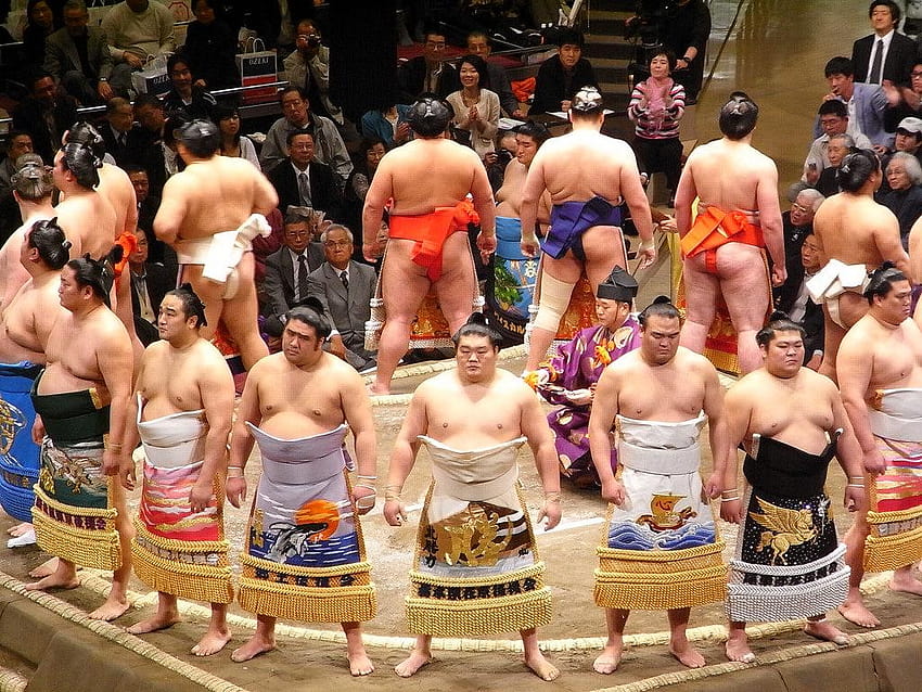 3 Sumo, sumo wrestlers HD wallpaper