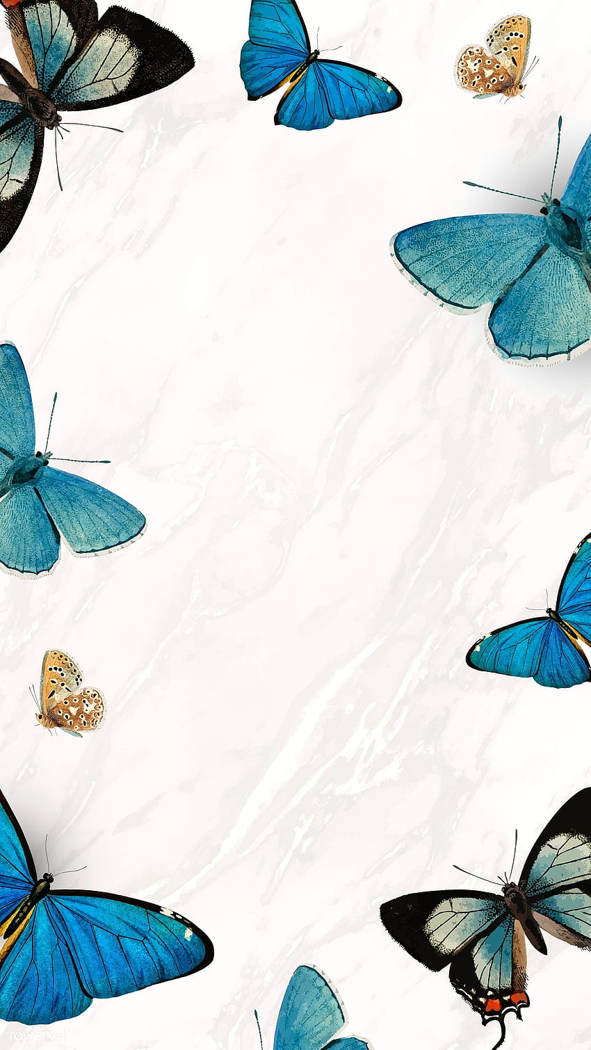 Blue Butterfly Aesthetic Wallpapers  Top Free Blue Butterfly Aesthetic  Backgrounds  WallpaperAccess