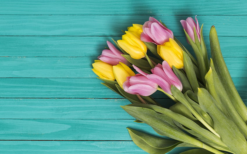 buquê de tulipas, fundo de madeira azul, buquê de flores da primavera papel de parede HD