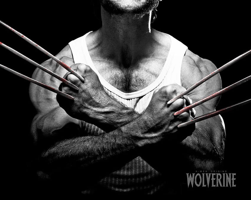 Wolverine Claws Backgrounds at Movies » Monodomo HD wallpaper | Pxfuel