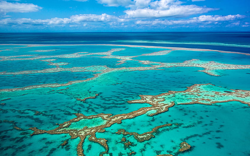Great Barrier Reef, Coral Sea, เกาะ Whitsunday, ออสเตรเลีย ด้วยความละเอียด 3840x2400 เกาะกั้นคุณสูง วอลล์เปเปอร์ HD